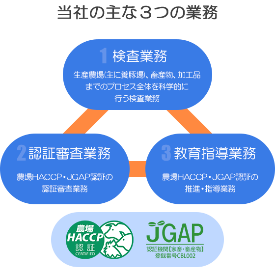 当社の主な3つの業務の図。１.検査業務、2.認証審査業務、3.教育指導業務 （農場HACCP認証、JGAP認証認証）